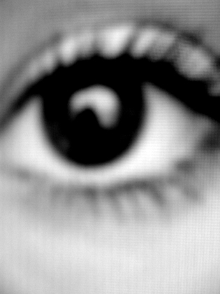 FB 92/365