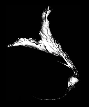 PE_1