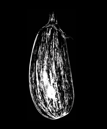 PE_3