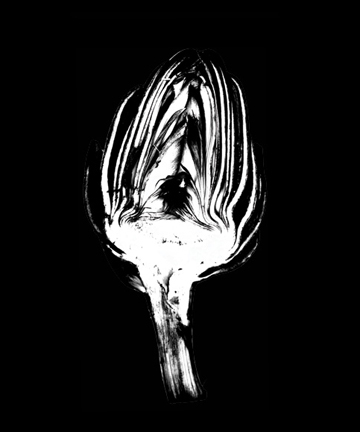PE_6