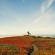 cw_location_web04