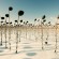 cw_location_web11
