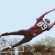 010 SportsLife