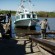 10_Stories_Elledge_PP_130326_Bayou_0568