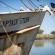 11_Stories_Elledge_PP_130327_Bayou_1164