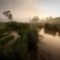 Rwanda Landscape