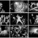 15_Bold_Elledge_131202_843_Grid