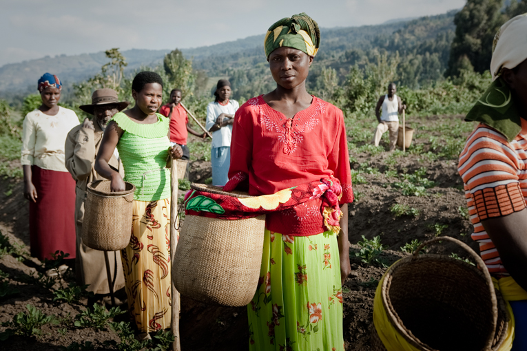 Rwanda Pyrethrum Farmer 1