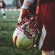 MS_Web Projects17