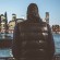 MS_WebCommissions-12