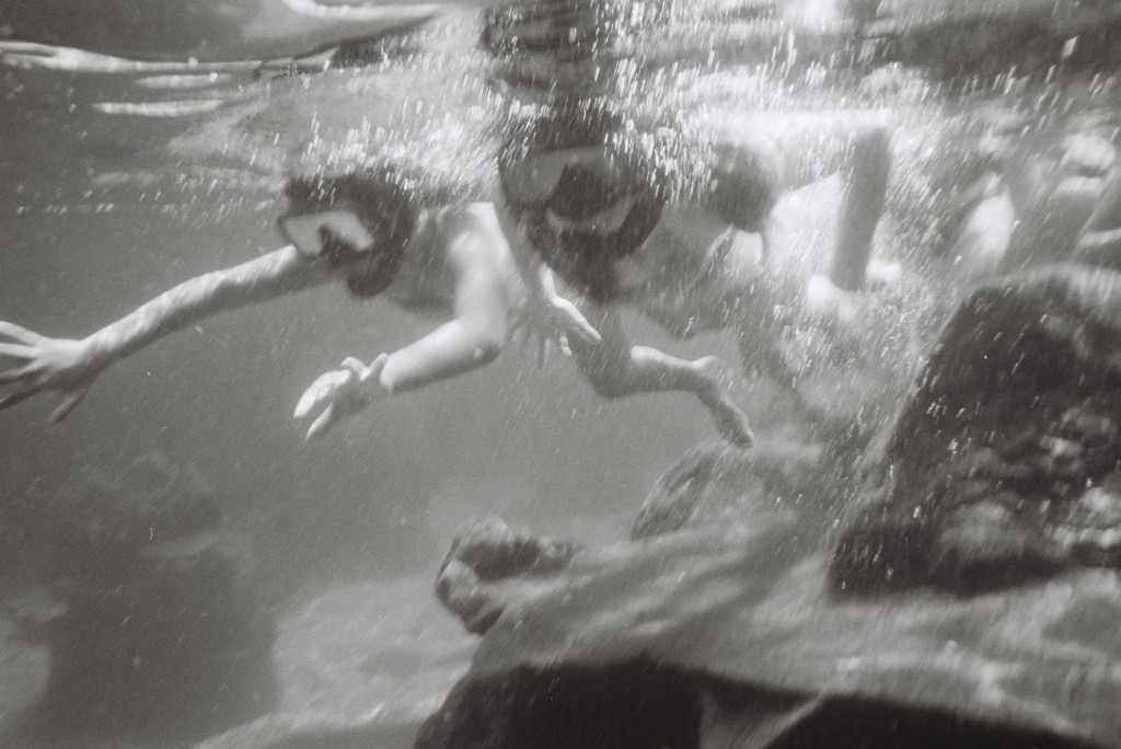typhoonlagoon_sharktank